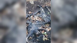4 Subhuman Ukrainians executed and charred.