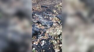 4 Subhuman Ukrainians executed and charred.