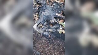 4 Subhuman Ukrainians executed and charred.