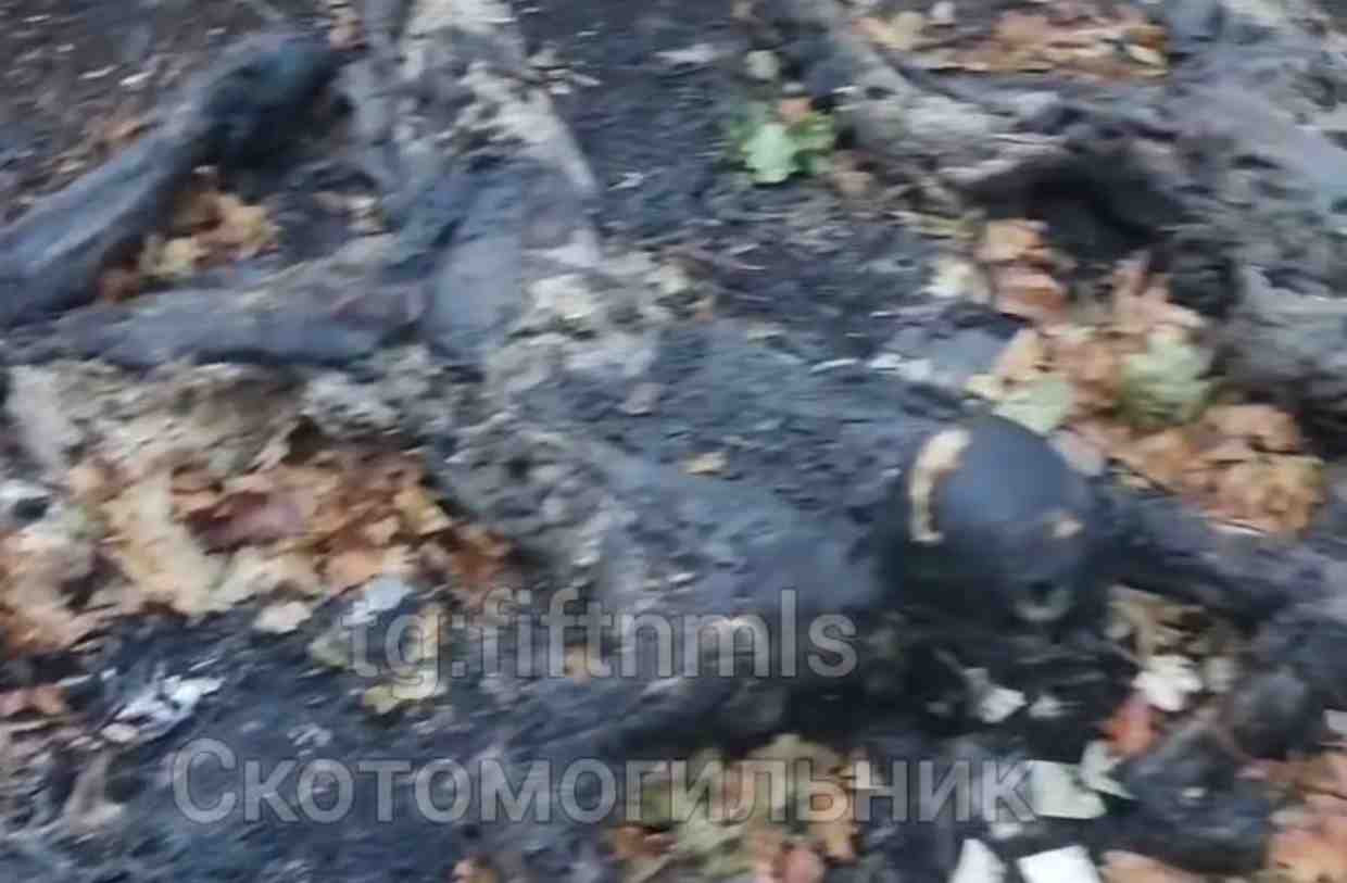 4 Subhuman Ukrainians executed and charred.