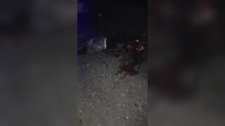 Drunk Man Was Hit By Car And Finished Off By Several Vehicles In Jamaica