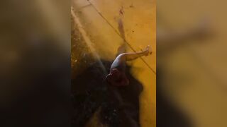Chicago Man Dismembered, Killed By Hit And Run Driver