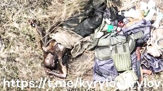 Chopping Up Nasty Russian Scum in Ukraine  - Compilation