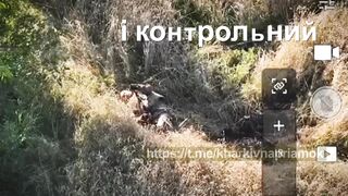 Are you gangsters? No, we are Russhits.