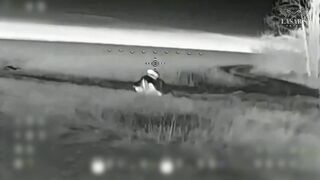 WILDBERRIES coats won't save you from UA drones.
