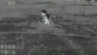 WILDBERRIES coats won't save you from UA drones.