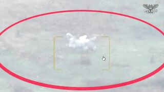 WILDBERRIES coats won't save you from UA drones.