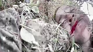 Russian retard killed himself with a drone.