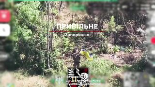 5 villages liberated by the AFU.