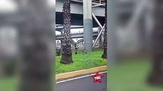 Man Dies In Hospital After Jumping From An Overpass In Mexico