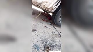 Truckers Killed By Another Trucker During Their Break Time In Anbar Province