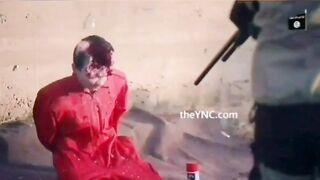 Classic gore clips, slowed and magnified.