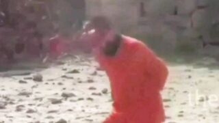 Classic gore clips, slowed and magnified.