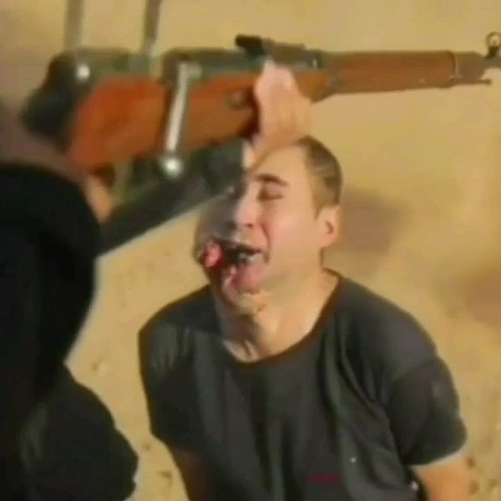 Classic gore clips, slowed and magnified.