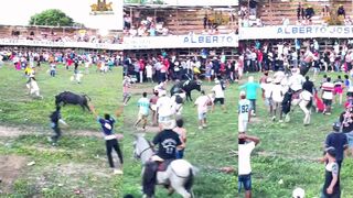 FUCKING BRUTAL : idiot smached by angry bull