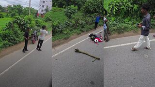 Killed by bus
