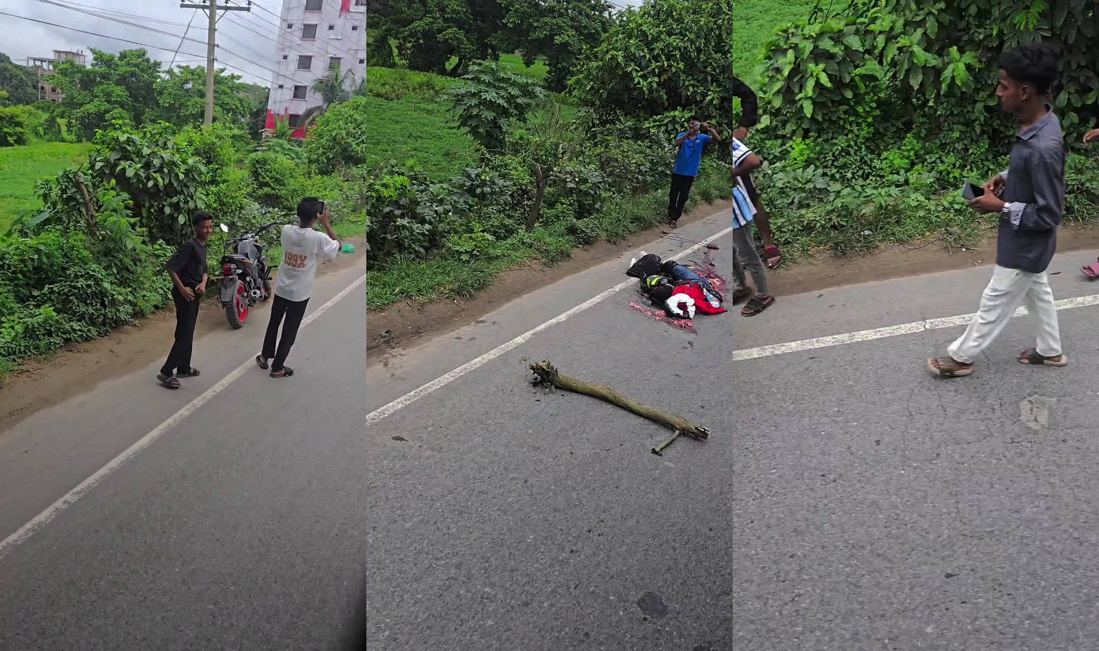 Killed by bus