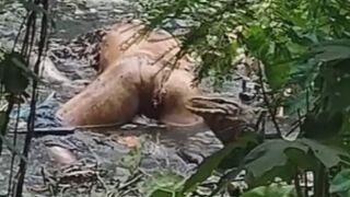 Komodo Dragon Caught On Cam Eating Human Body