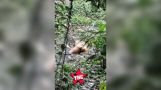 Komodo Dragon Caught On Cam Eating Human Body