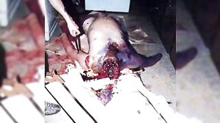 Man classic drug people effect killed and cooked