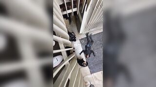 Gang Shooting Compilation