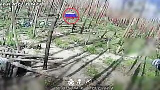 Colombians are killing Russians.
