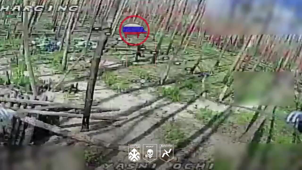 Colombians are killing Russians.