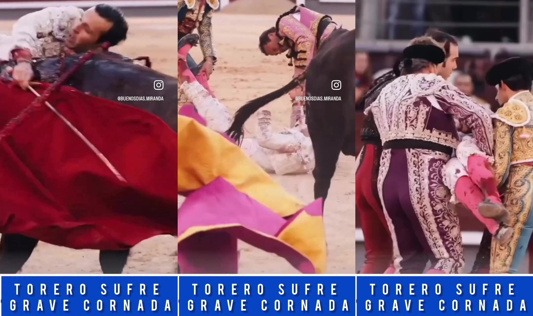 Bullfighter gored and bites the dust