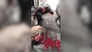 Military Police Officer Shot In The Head, Killed During Raid In Favela