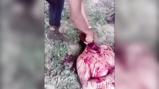 Mixed Gore Classics (Compilation)