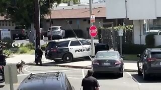 Crazy Man with Machete In USA