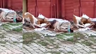 TWO DOGS EATS LEGS MAN (Watch full if you can)