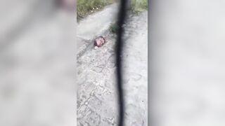 Brazil: A human head was found on a street in the Colinas do Sul neighborhood