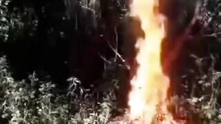 The compilation You might like #4