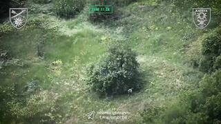 3 dead katsaps from Vampire drone of 66-th Brigade
