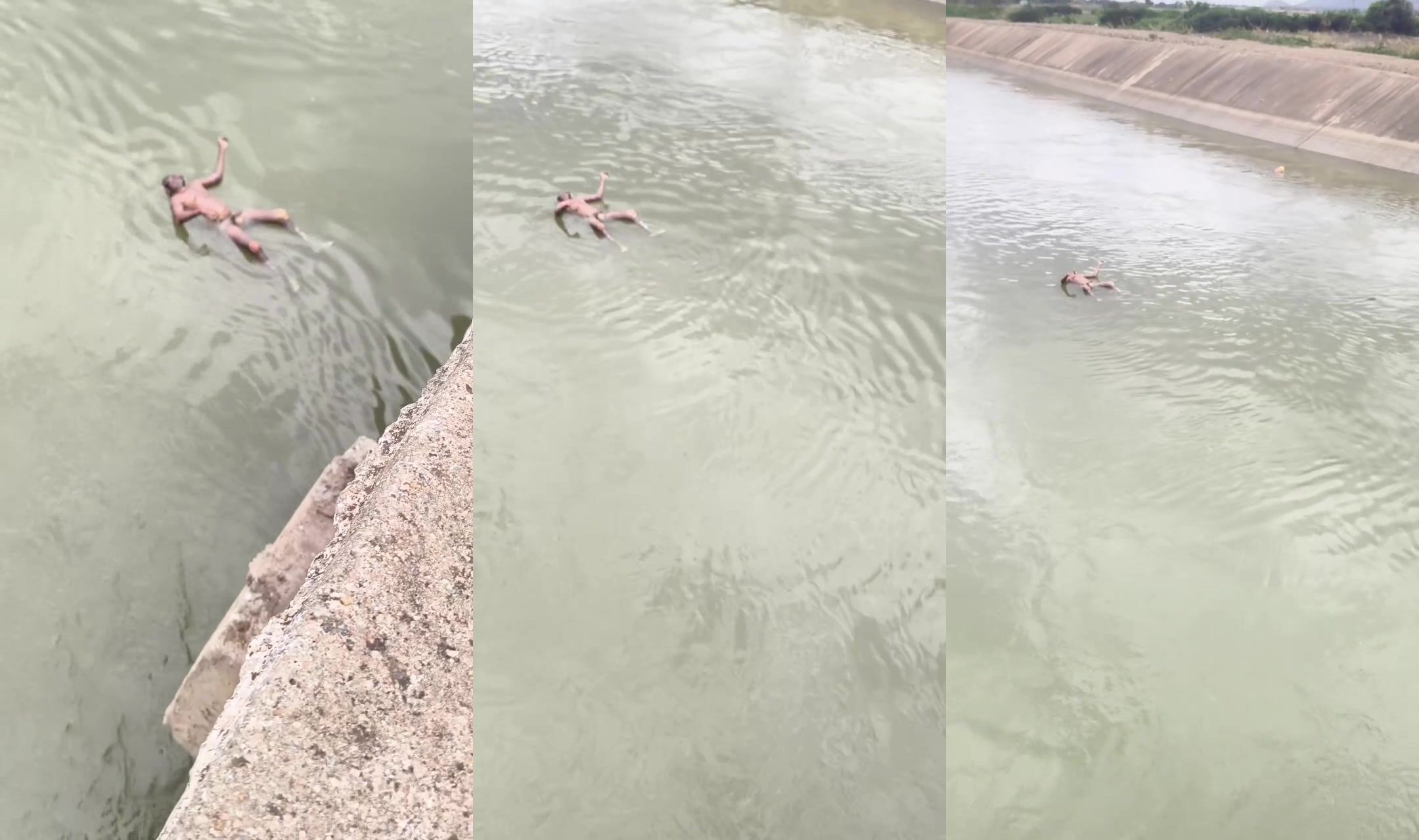 Olympic swimming champion