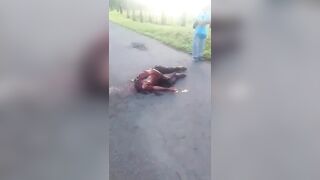 71-Year-Old Man Who Was Mauled By Two Pitbulls Dies After Three Days In Hospital