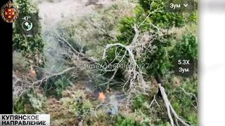 Colombian Merc suicide.
