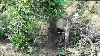 Colombian Merc suicide.