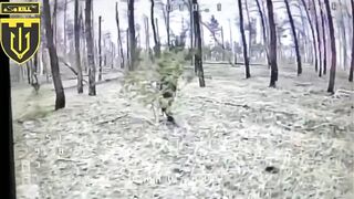 Dirty katsap pretended to be a walking pine tree, and failed to fight a drone