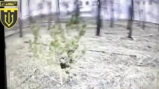 Dirty katsap pretended to be a walking pine tree, and failed to fight a drone