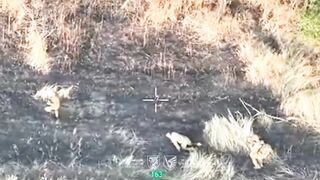 Six occupiers captured, three - dead: close-quarters combat by 79-th Brigade