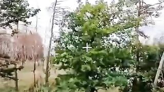 UKRANIAN SOLDIERS FELL ASLEEP UNDER A TREE