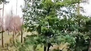 UKRANIAN SOLDIERS FELL ASLEEP UNDER A TREE