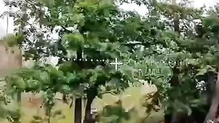 UKRANIAN SOLDIERS FELL ASLEEP UNDER A TREE