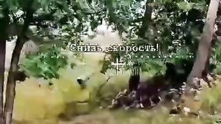 UKRANIAN SOLDIERS FELL ASLEEP UNDER A TREE
