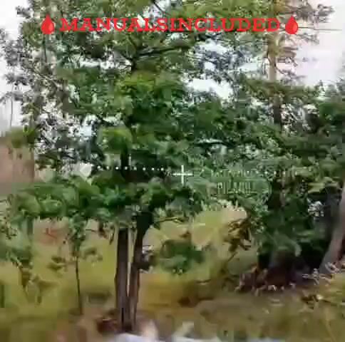 UKRANIAN SOLDIERS FELL ASLEEP UNDER A TREE