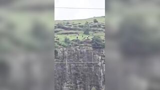 Parents try to stop son from suicide; all 3 fall to death