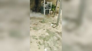 Looks Like Buddy Was Sick And Tired Of His Family Members
