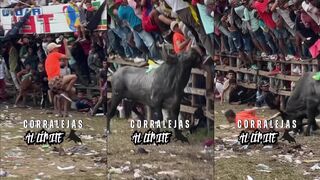 Leg fucked by angry bull 1